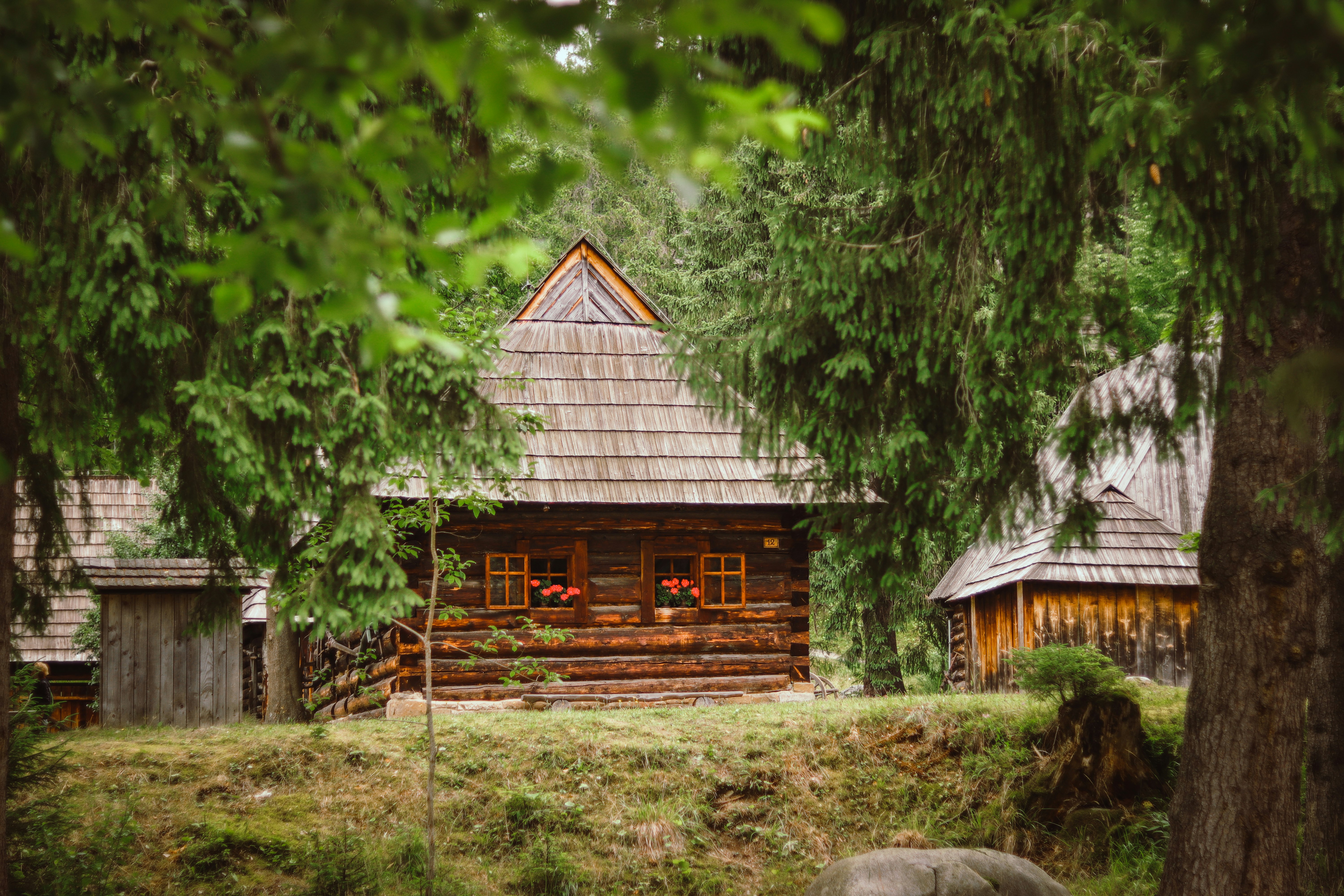 brown wooden house near green trees during daytime